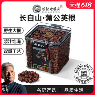 老谷头净口密封罐蒲公英根茶整根浦天通长白山红叶非特级古古丁