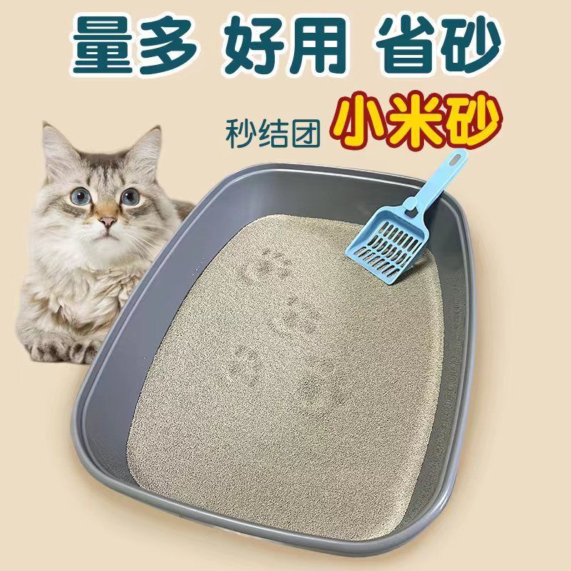 燕都猫砂除臭快秒结团20斤装
