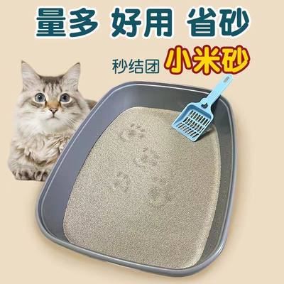 超细小颗粒猫砂20斤装40斤除臭无尘柠檬膨润土10斤清仓大袋小米砂