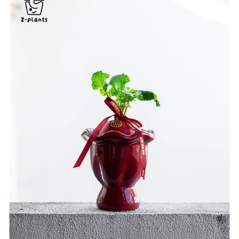 喜庆萝卜法式好彩头摆件过年礼物乔迁风伴手礼个性水高级陶瓷感轻