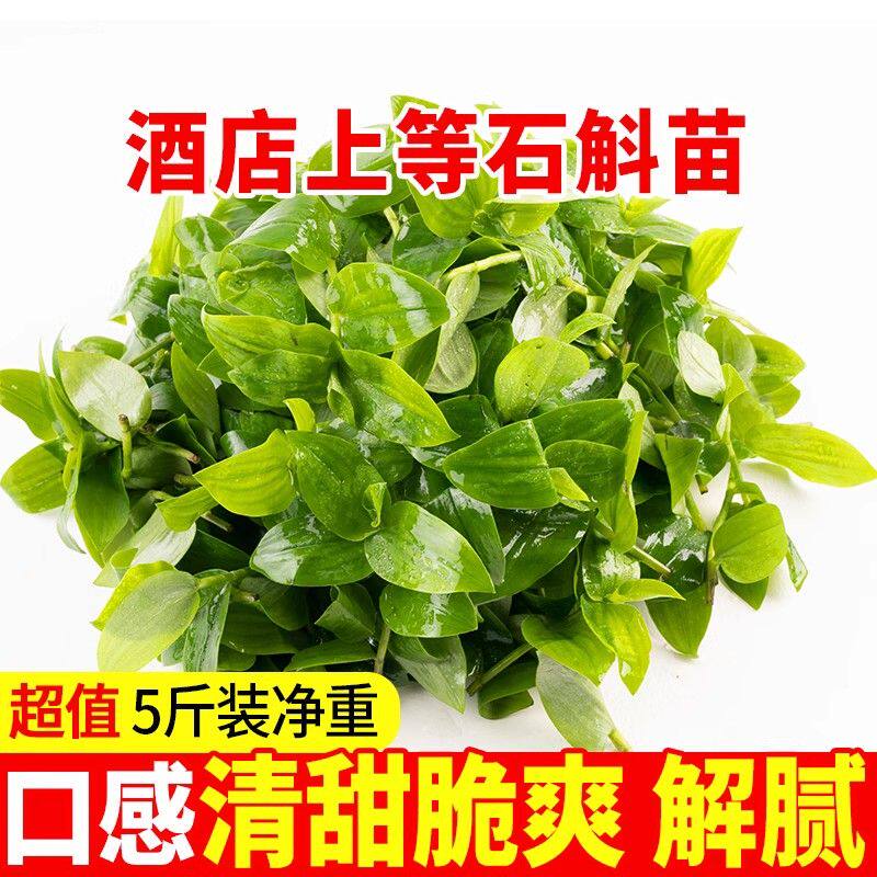 新鲜石斛苗食用煲汤清炒现摘现发养生蔬菜农家自酒店特色菜鸭跖草