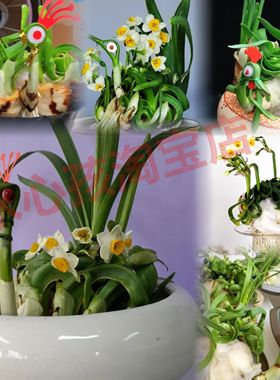 雕刻水仙花造型比赛动物花篮漳州水仙花成品客厅阳台水养花卉春节