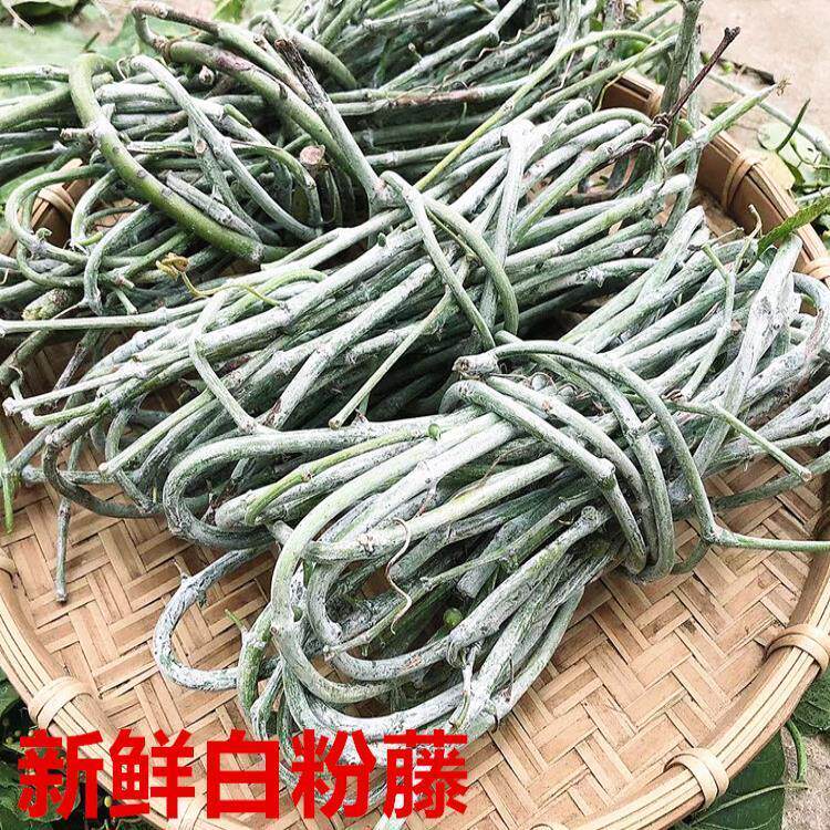 白粉藤野生现采独脚乌桕夜牵牛青龙跌打山鸡蛋山葫芦藤叶白面水鸡