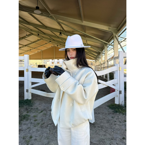 DA KUAN 夹棉加厚冬季新款高级感气质简约双排扣立领毛呢短外套