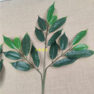 仿真榴莲叶假树叶龙眼树叶装饰树枝园林景观桑树叶叶子景观芒果叶