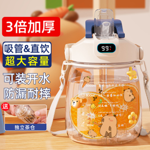 双饮大肚杯子2025年新款 儿童水壶女大容量水杯耐高温食品级便携瓶
