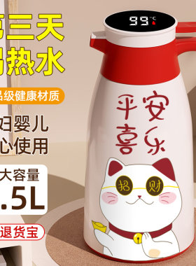 特大号保温水壶大容量保温壶2024新款家用热水壶保温瓶玻璃胆暖壶