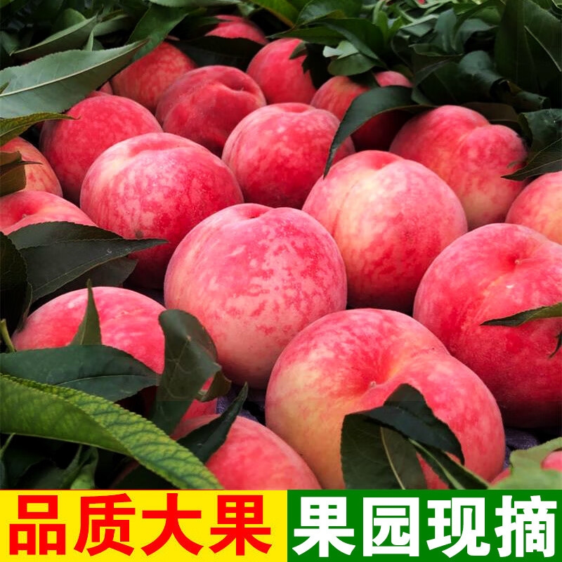 2 й60-90g ں첻ʺ16.8Ԫ