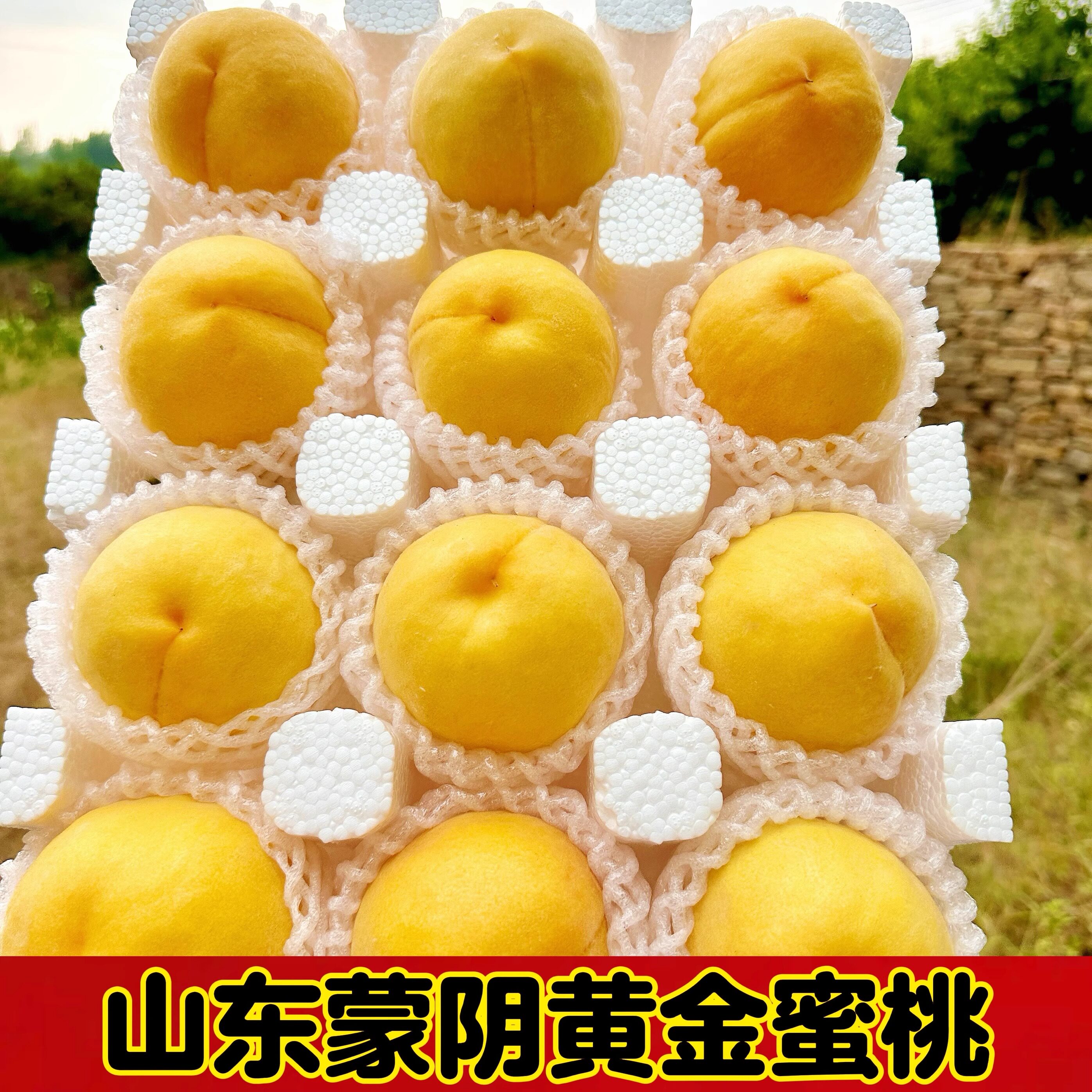 蒙阴黄毛桃黄金蜜桃水果当季新鲜整箱应季桃新鲜锦绣黄毛桃非炎陵