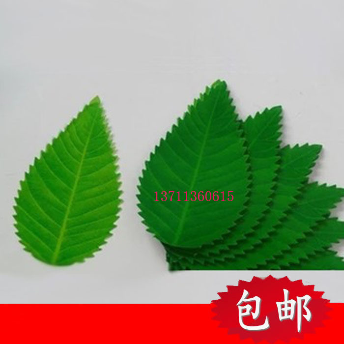 树叶型寿司草寿司装饰叶子叶片刺身料理胶叶日本料理寿司叶200枚