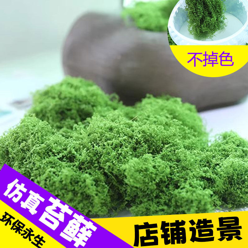 仿真苔藓草皮仿生假青苔藓丝造景微景观花盆表面覆盖物遮丑铺面草