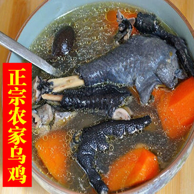 湖南正宗土鸡农家乌鸡 老母鸡乌骨鸡草鸡走地鸡笨鸡 农家自养山鸡