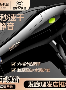 德系电吹风机发廊理发店家用大功风负离子筒静音率恒温不伤发冷热