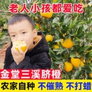 四川高山金堂脐橙9斤10现摘产地直发橙子大果新鲜孕妇水果手剥橙