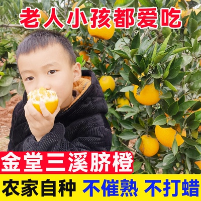 四川高山金堂脐橙9斤大果