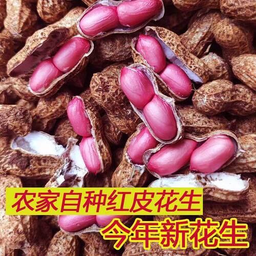 四川新鲜现挖泥巴花生红米
