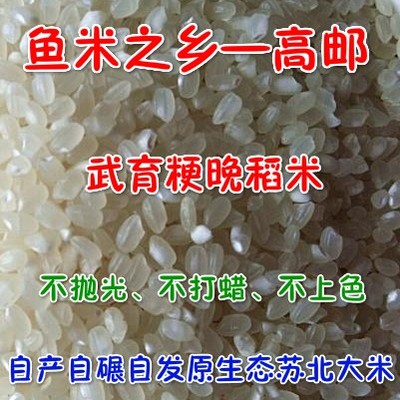 乡下米农家圆粒珍珠米现磨苏北高邮周巷大米晚粳米煮粥不抛光新米