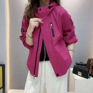 小个子连帽上衣冲锋衣夹克中老年外套爆款 2026新款 休闲宽松短款