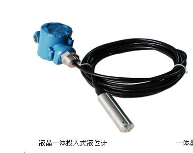 投入式智能液位监测控制仪