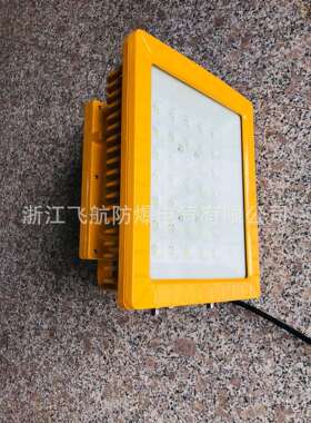 LED防爆灯400W 200W 300WLED防爆投光灯 100WLED防爆灯