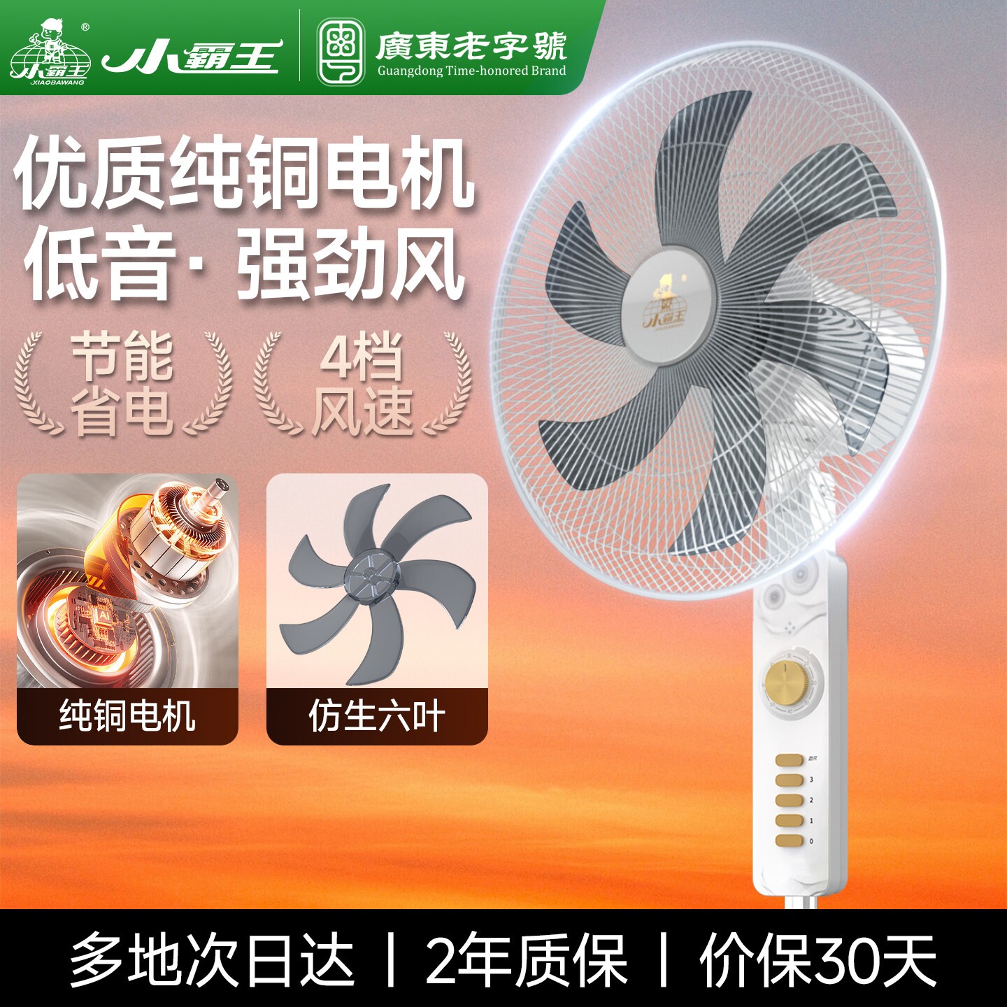 小霸王电风扇家用节能落地扇遥控图片