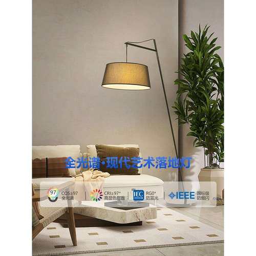 客厅落地灯北欧轻奢感客厅沙发立式氛围灯现代卧室角落装饰灯