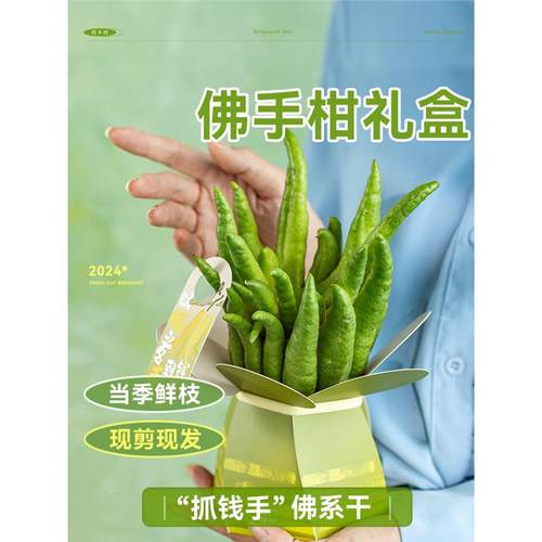 佛手柑水培植物鲜果室内桌面水养绿植盆栽新鲜切枝佛手瓜摆件闻香