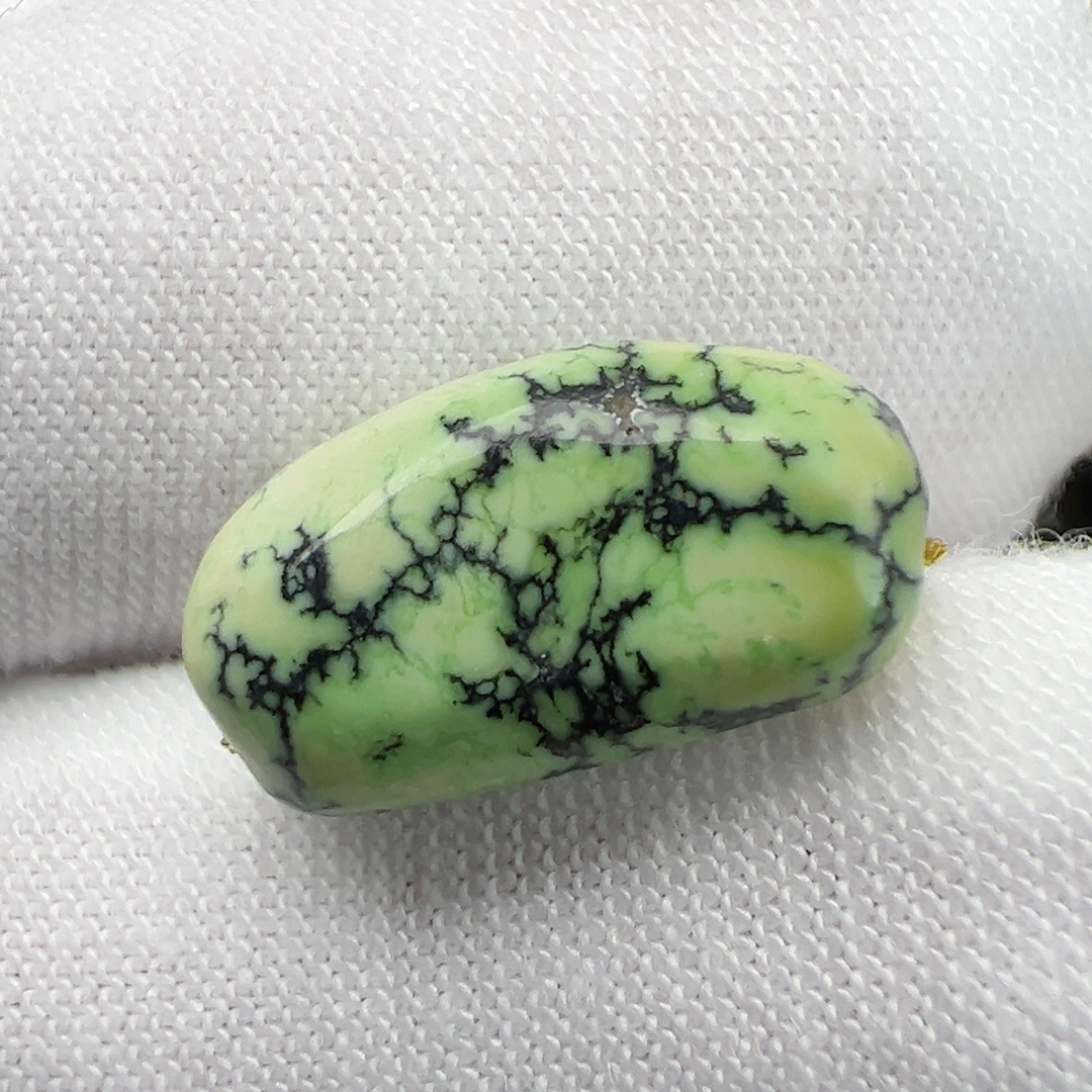 菜籽黄随行（多多）