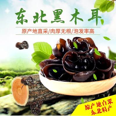 东北黑木耳特产肉厚无根500g