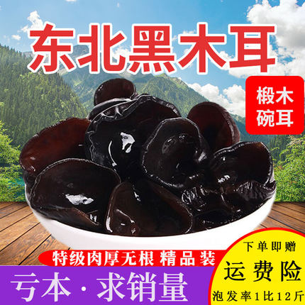 吉林500g东北黑木耳特产级野秋木耳凉拌肉厚生小碗耳干货散装新货