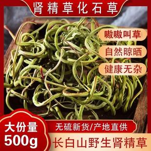 长白山野生肾精茶正品 肾精草化石草500g东北吉林黄金草石韦嗷嗷叫