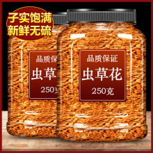 精选正品 虫草花干货旗舰店非500g北蛹虫草菇新鲜特级野生煲汤材料