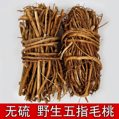 正宗野生五指毛桃根中段土茯苓