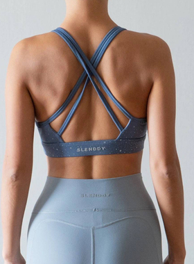 Slenddy Ocean美背减震跑步运动内衣文胸瑜伽健身背心女S8109