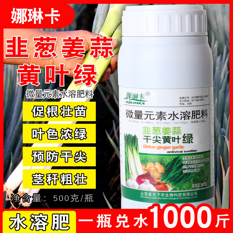 韭葱姜蒜干尖黄叶绿叶面肥增长拉粗抗倒伏黄叶干尖叶嫩绿增产肥料