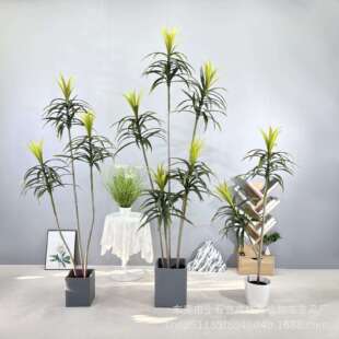仿真绿植龙血树盆栽轻奢假植物室内客厅装饰落地摆件大型仿生花树