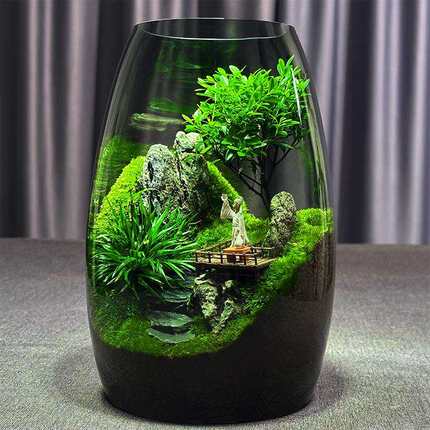 【云海间】苔藓微景观办公室桌面微景观绿植盆景生态瓶缸绿植造景