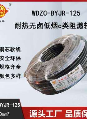 金环宇电线 耐热低烟无卤c级阻燃电线价格WDZC-BYJR-125-6平方