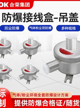 防爆接线箱盒吊盖304不锈钢接线盒M20*1.5直通弯头IIC级2通3通4通