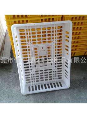 东莞塑料黄色鸡笼 成鸡运输白色周转笼 螺母锁紧式塑胶运输箱胶筐