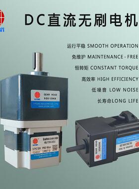 厂家直销雨田60W220V高压直流无刷电机4BLD60-220GN-30S通用电机