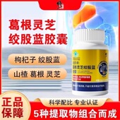 修正葛根灵芝绞股蓝胶囊中老年辅助降1血脂养肝护片肝官方正品 lk2