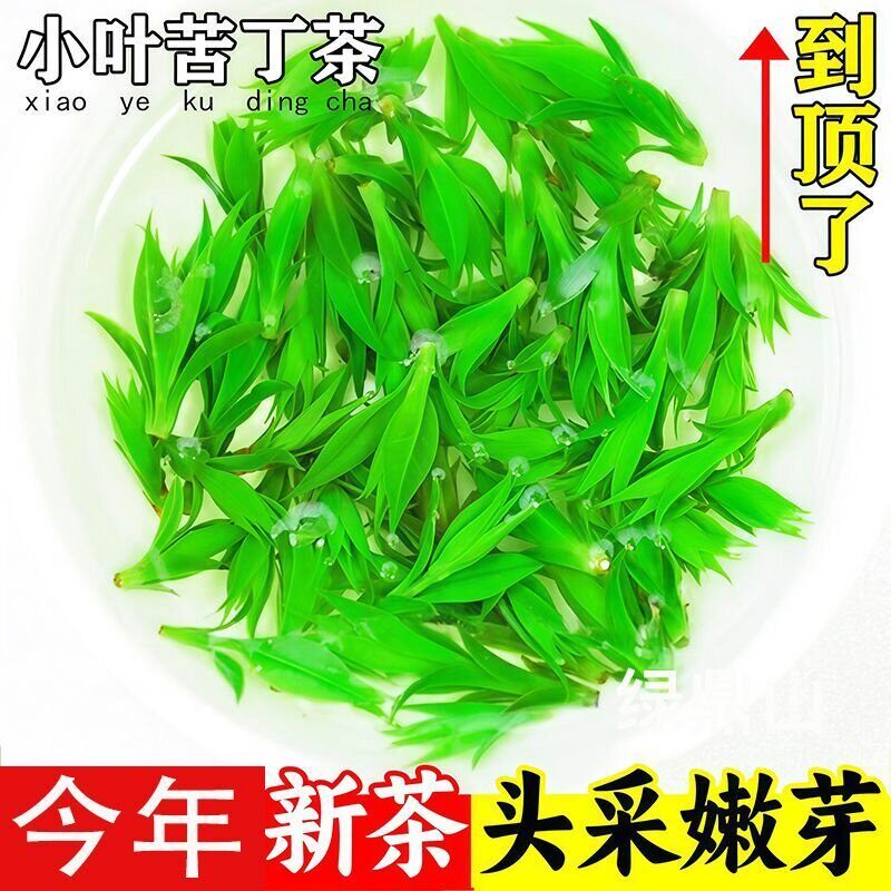 特级小叶苦丁茶特级嫩芽苦茶正品野生官方旗舰店新茶有什么功效xl