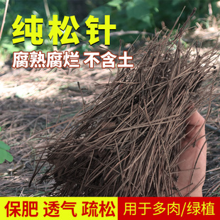 兰花专用松针 多肉植物绿萝无土松针腐熟松针树叶透 气腐叶种植土