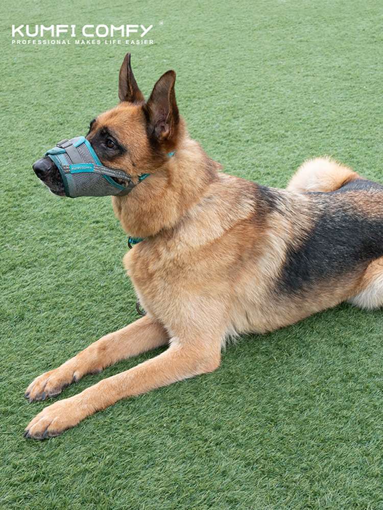 kumfi comfy 库飞康飞 犬用安全嘴套狗狗防咬口套2层调节不易脱落