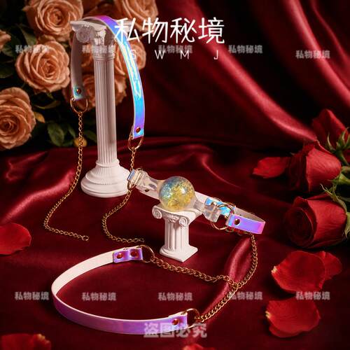 私物秘境炫彩牵引项圈嘴
