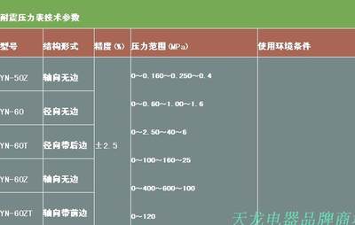 杭州东亚YN-60耐振压力表 油压表0-40MPA抗震压力表 防震压力表