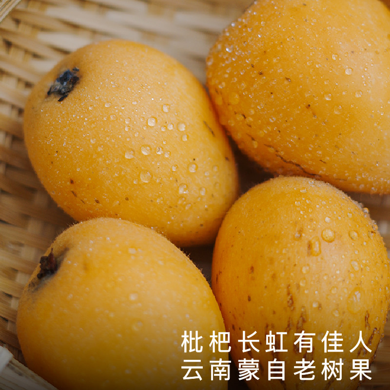 2500g ����Ա��������������Ի����������ʹ�5��װ����