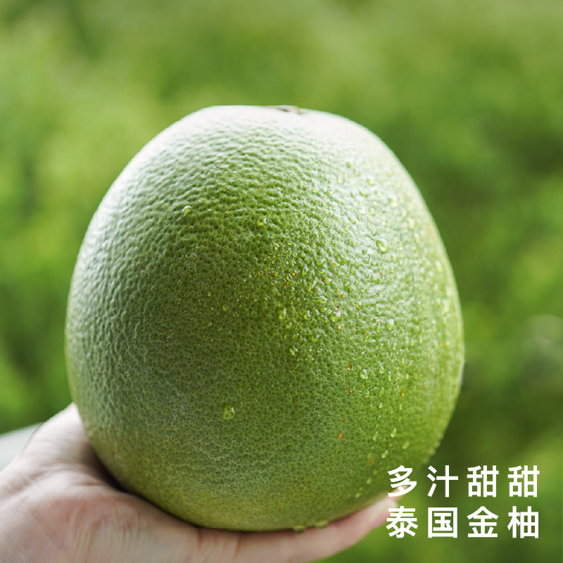 艾格吃饱了柚子泰国金柚青柚新鲜水果进口多汁甜甜热带蜜柚当季