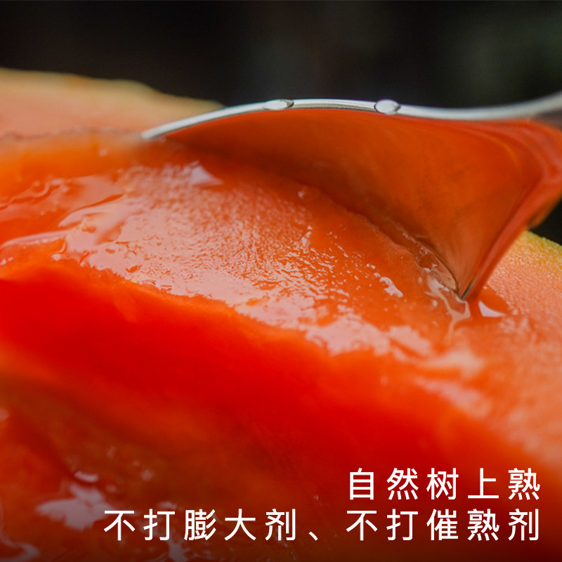 艾格吃饱了正宗湛江雷州冰糖木瓜当季新鲜水果